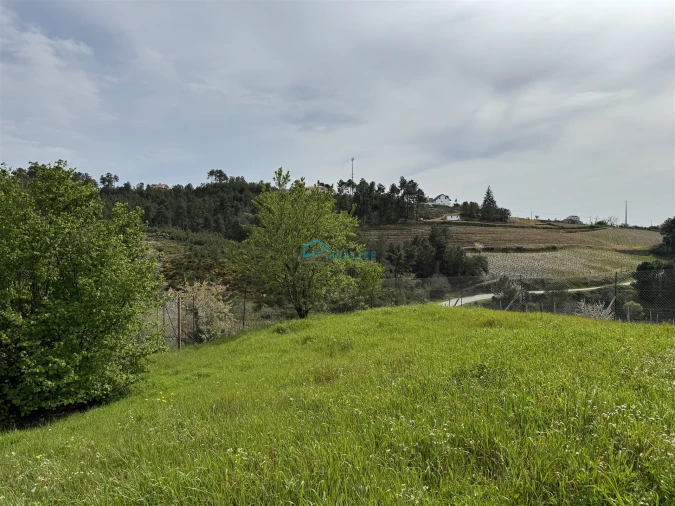 Terreno para Venda em São Martinho de Antas e Paradela de Guiães Foto 5