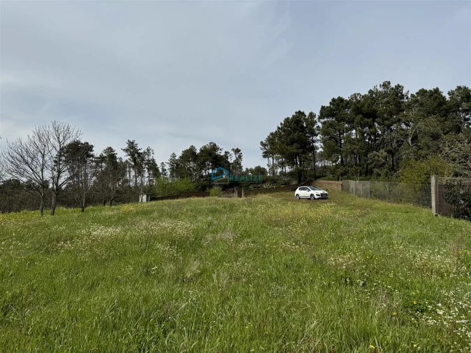 Terreno para Venda em São Martinho de Antas e Paradela de Guiães Foto 3