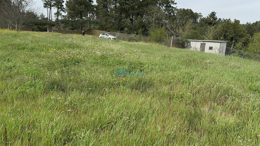 Terreno para Venda em São Martinho de Antas e Paradela de Guiães Foto 29