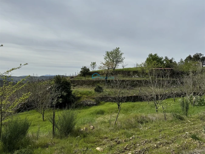 Terreno para Venda em São Martinho de Antas e Paradela de Guiães Foto 25