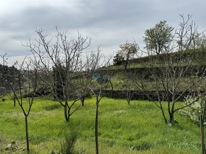 Terreno para Venda em São Martinho de Antas e Paradela de Guiães Foto 22