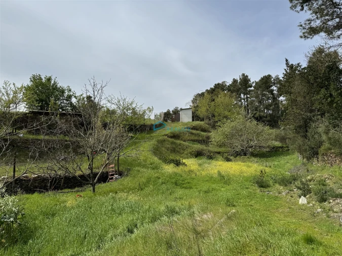 Terreno para Venda em São Martinho de Antas e Paradela de Guiães Foto 23