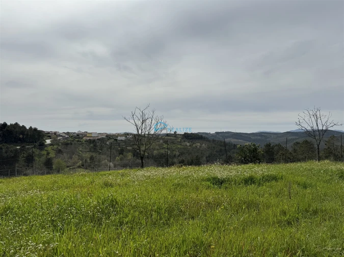 Terreno para Venda em São Martinho de Antas e Paradela de Guiães Foto 6