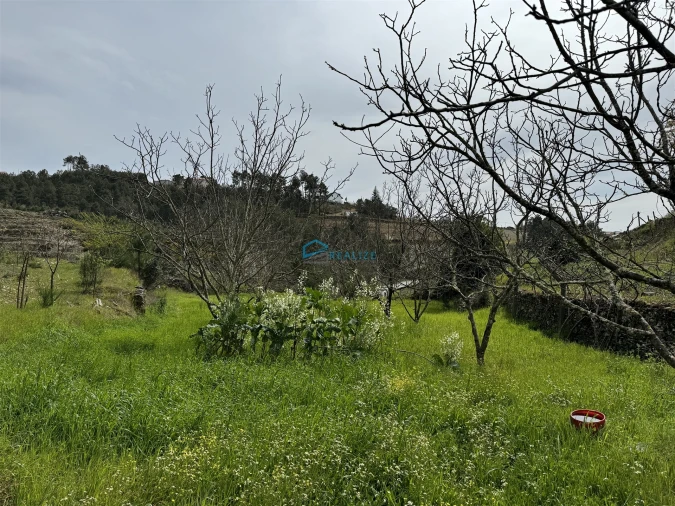 Terreno para Venda em São Martinho de Antas e Paradela de Guiães Foto 20