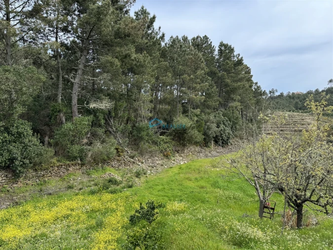 Terreno para Venda em São Martinho de Antas e Paradela de Guiães Foto 10