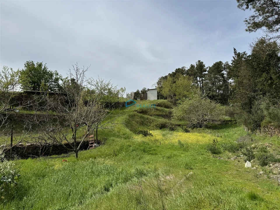 Terreno para Venda em São Martinho de Antas e Paradela de Guiães Foto 23
