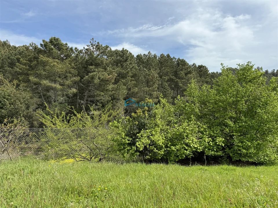 Terreno para Venda em São Martinho de Antas e Paradela de Guiães Foto 7