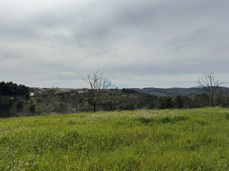 Terreno para Venda em São Martinho de Antas e Paradela de Guiães Foto 6