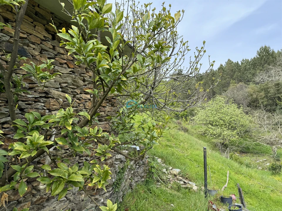 Terreno para Venda em São Martinho de Antas e Paradela de Guiães Foto 13