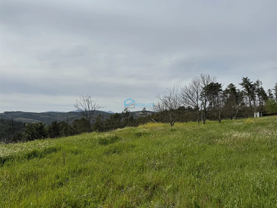 Terreno para Venda em São Martinho de Antas e Paradela de Guiães Foto 4