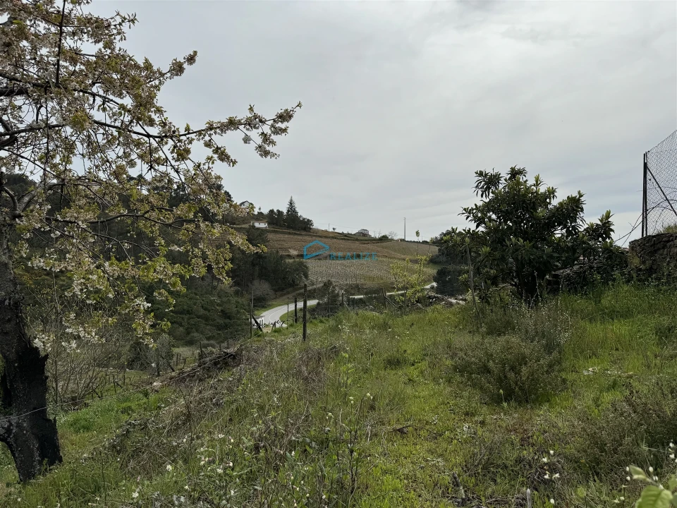 Terreno para Venda em São Martinho de Antas e Paradela de Guiães Foto 14