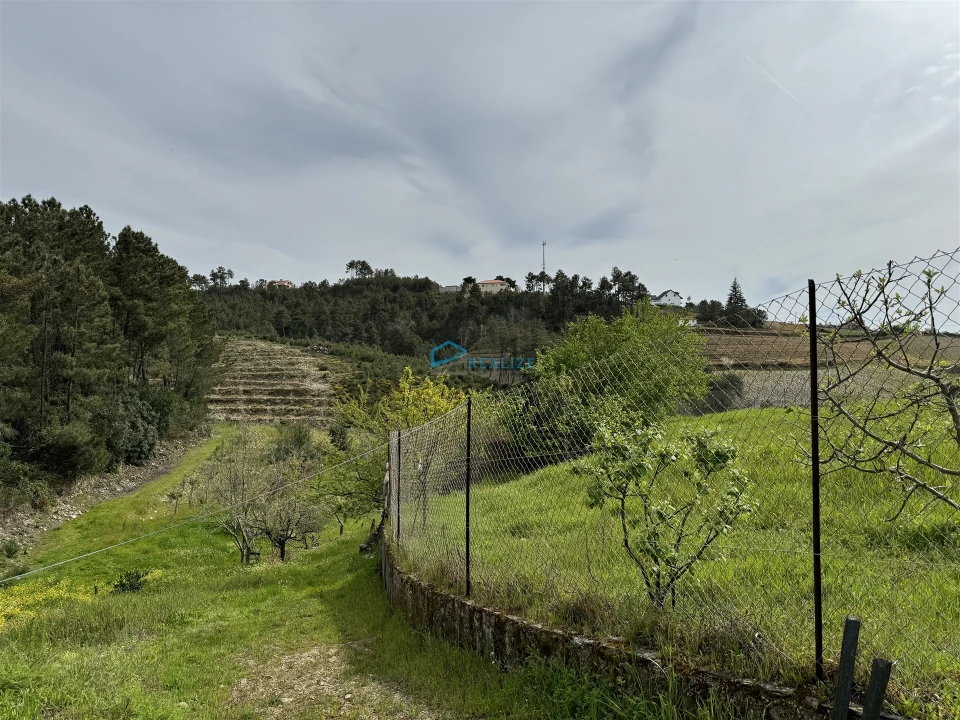 Terreno para Venda em São Martinho de Antas e Paradela de Guiães Foto 28