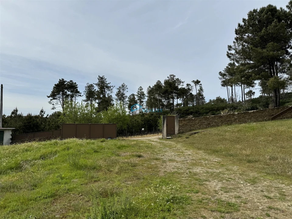 Terreno para Venda em São Martinho de Antas e Paradela de Guiães Foto 31