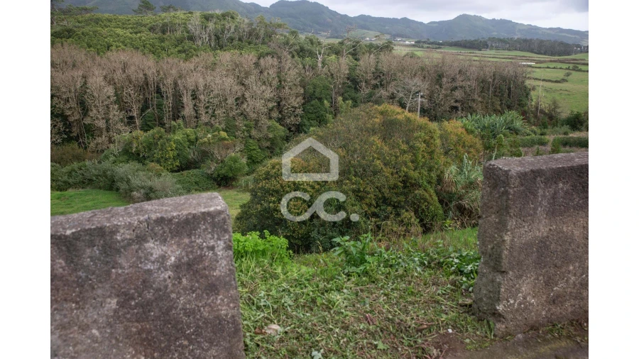 Terreno para Venda em São Pedro Foto 6