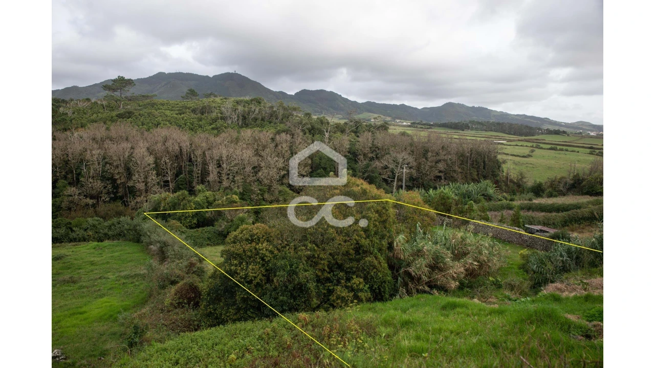Terreno para Venda em São Pedro Foto 1