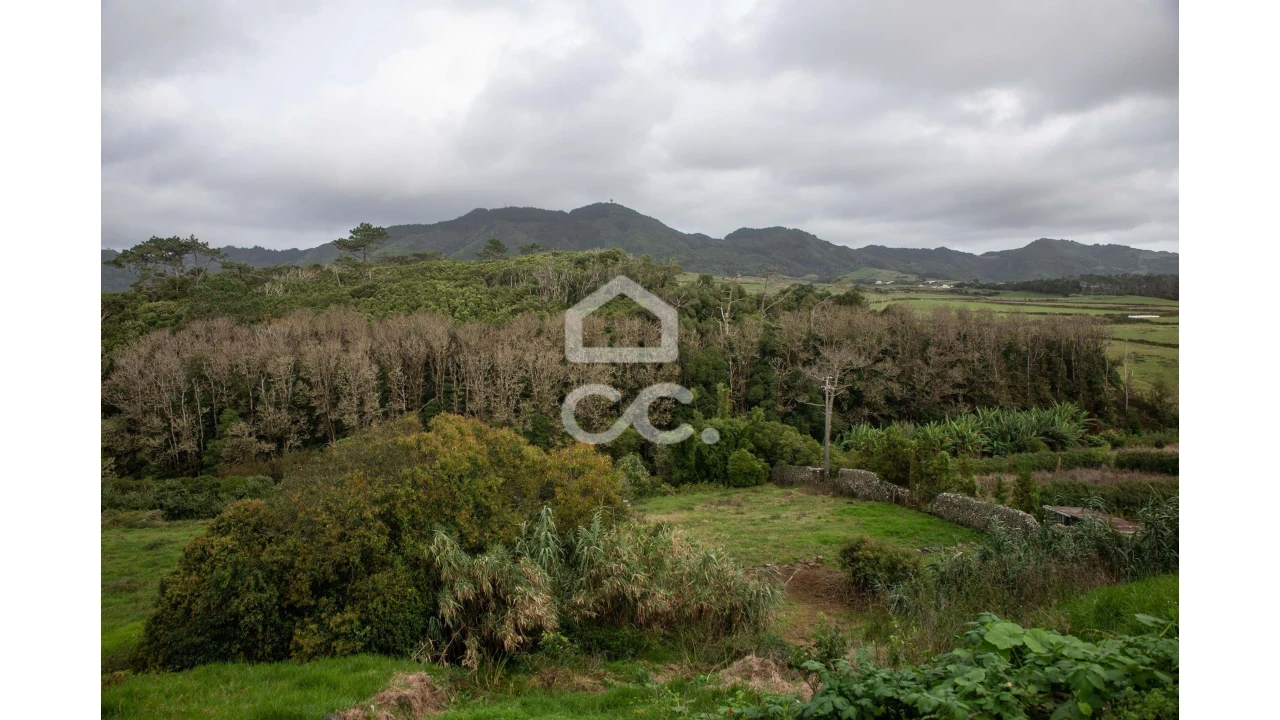 Terreno para Venda em São Pedro Foto 3