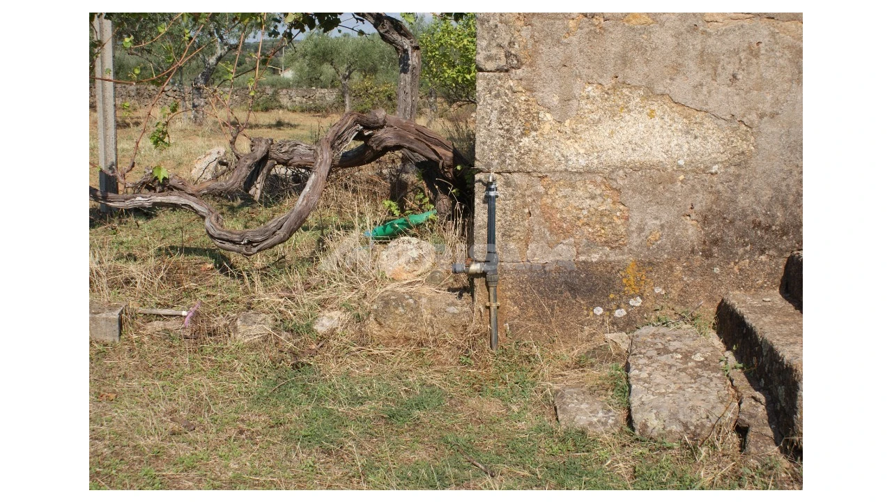 Quinta para Venda em Vale de Prazeres e Mata da Rainha Foto 12