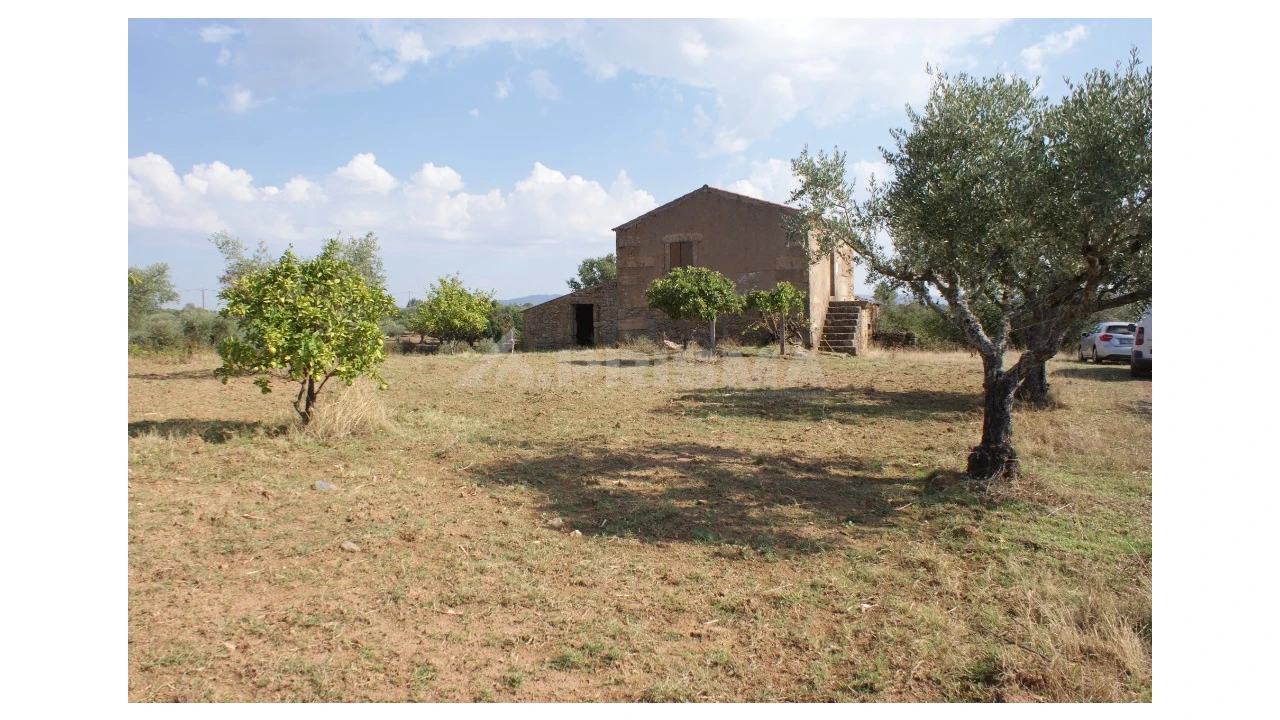 Quinta para Venda em Vale de Prazeres e Mata da Rainha Foto 2