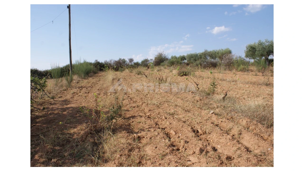 Quinta para Venda em Vale de Prazeres e Mata da Rainha Foto 16