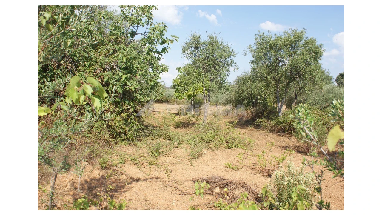 Quinta para Venda em Vale de Prazeres e Mata da Rainha Foto 36