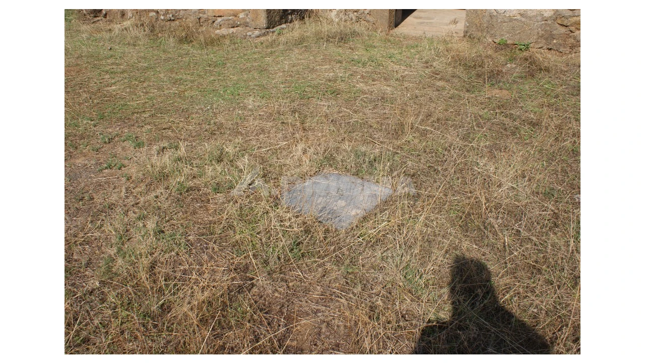 Quinta para Venda em Vale de Prazeres e Mata da Rainha Foto 37