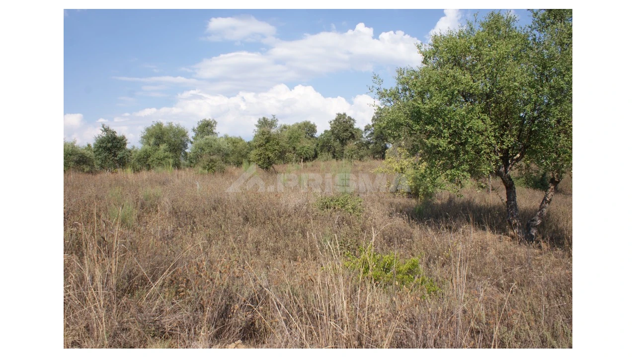 Quinta para Venda em Vale de Prazeres e Mata da Rainha Foto 31