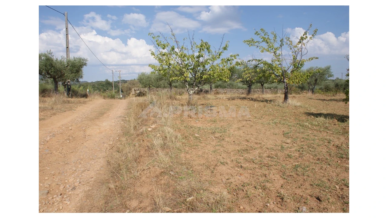 Quinta para Venda em Vale de Prazeres e Mata da Rainha Foto 15