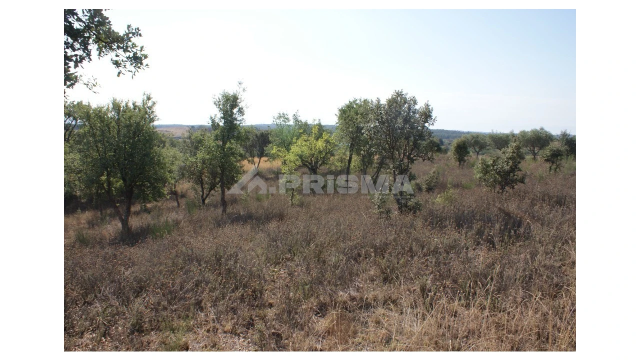 Quinta para Venda em Vale de Prazeres e Mata da Rainha Foto 27