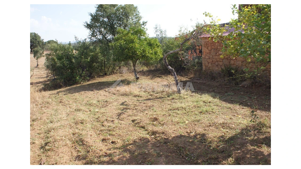 Quinta para Venda em Vale de Prazeres e Mata da Rainha Foto 19
