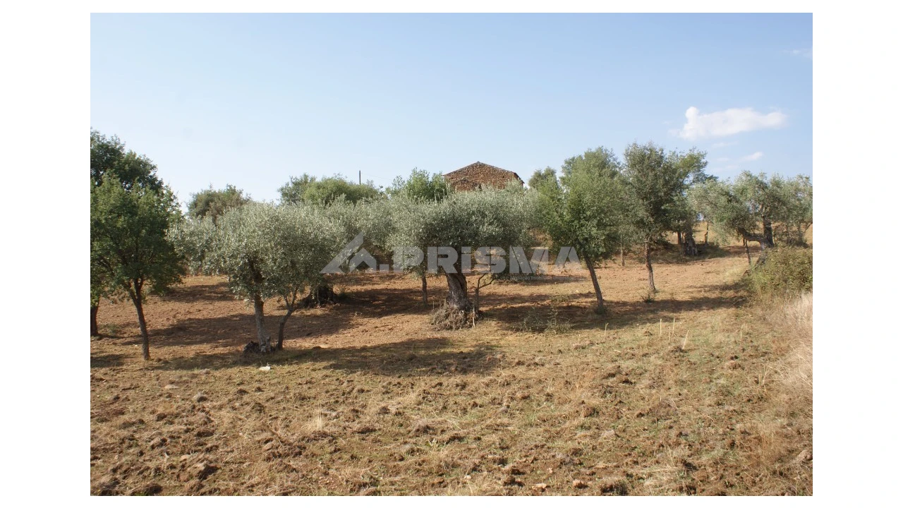 Quinta para Venda em Vale de Prazeres e Mata da Rainha Foto 24