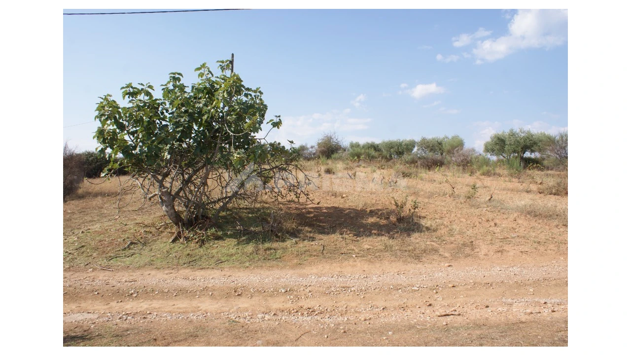 Quinta para Venda em Vale de Prazeres e Mata da Rainha Foto 14