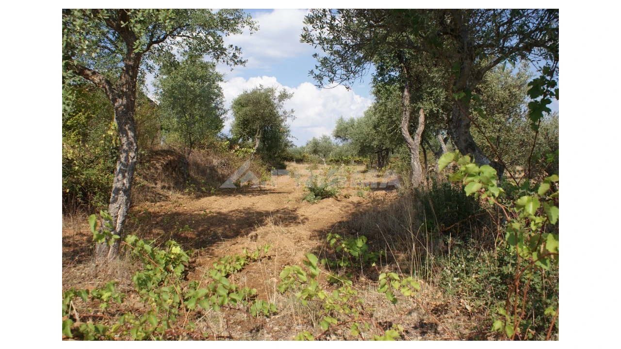 Quinta para Venda em Vale de Prazeres e Mata da Rainha Foto 35