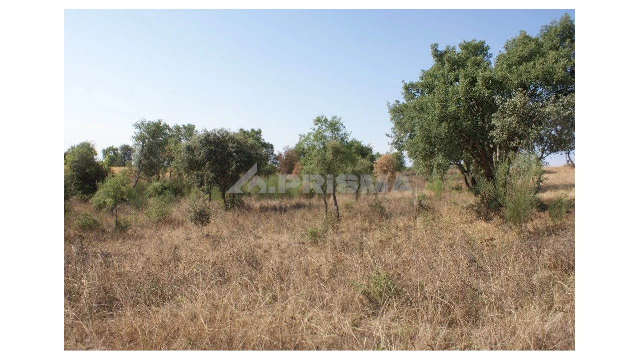 Quinta para Venda em Vale de Prazeres e Mata da Rainha Foto 28