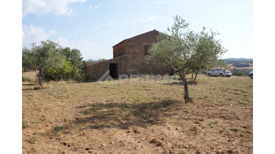 Quinta para Venda em Vale de Prazeres e Mata da Rainha Foto 18