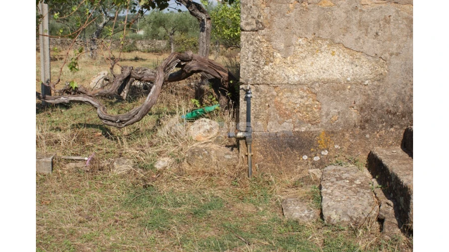 Quinta para Venda em Vale de Prazeres e Mata da Rainha Foto 12
