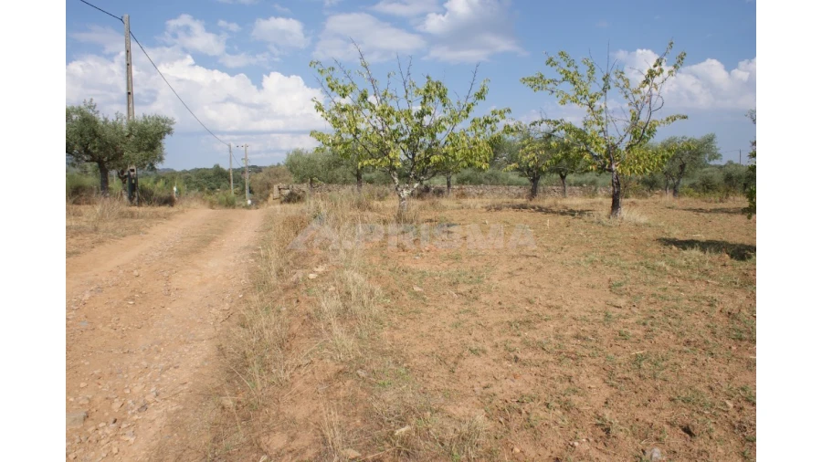 Quinta para Venda em Vale de Prazeres e Mata da Rainha Foto 15