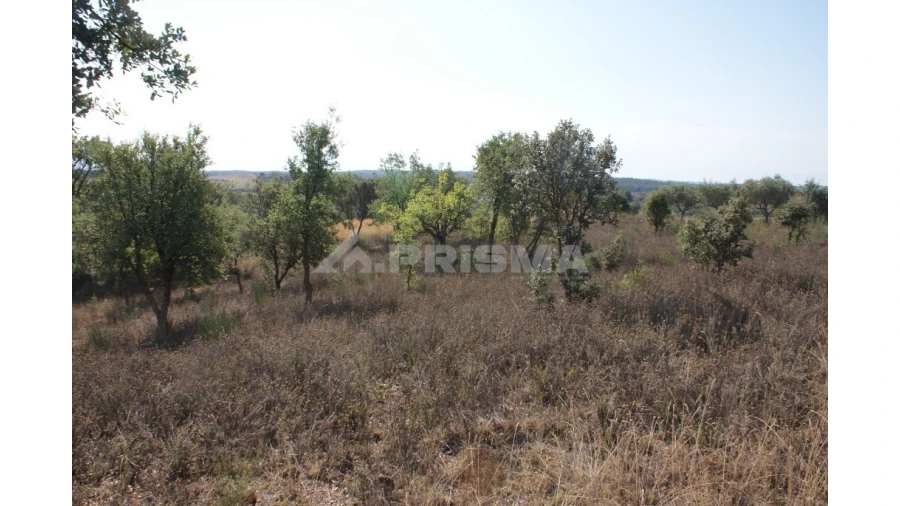 Quinta para Venda em Vale de Prazeres e Mata da Rainha Foto 27