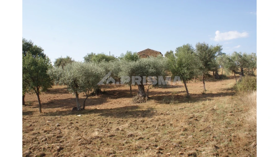 Quinta para Venda em Vale de Prazeres e Mata da Rainha Foto 24