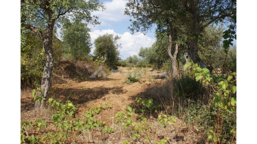 Quinta para Venda em Vale de Prazeres e Mata da Rainha Foto 35
