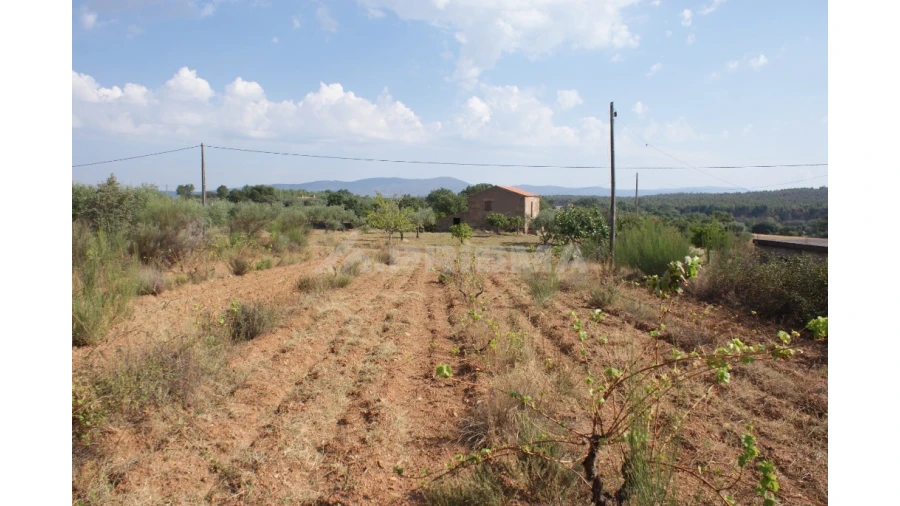 Quinta para Venda em Vale de Prazeres e Mata da Rainha Foto 17