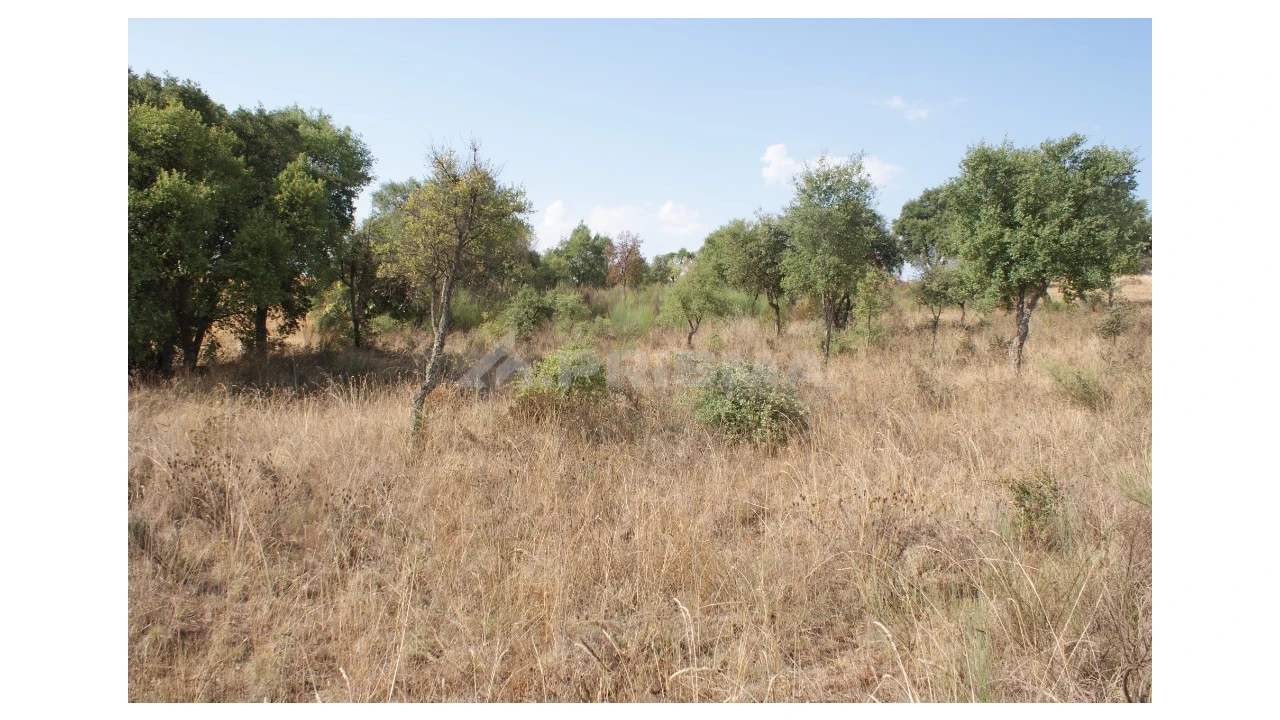 Quinta para Venda em Vale de Prazeres e Mata da Rainha Foto 29