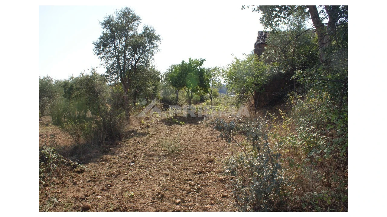 Quinta para Venda em Vale de Prazeres e Mata da Rainha Foto 20