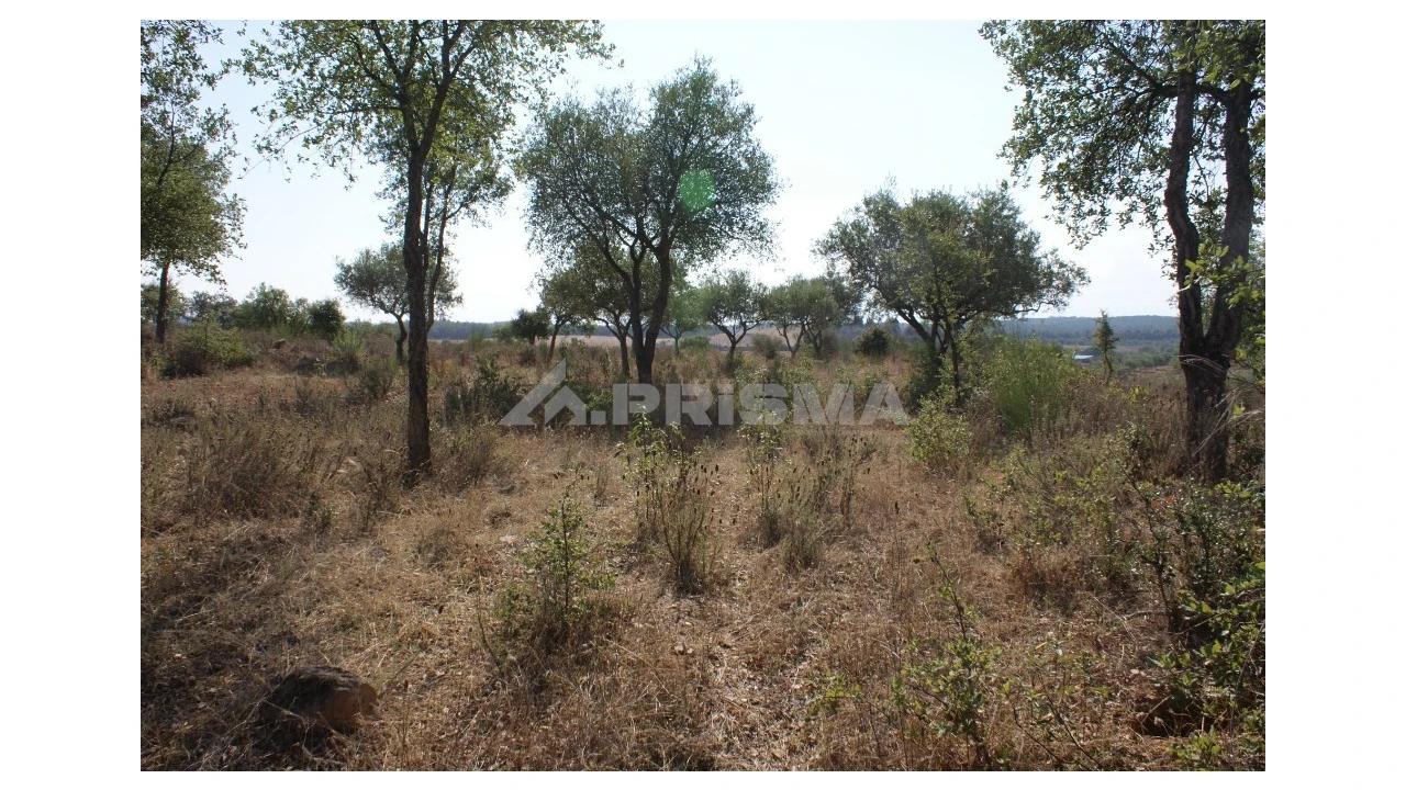 Quinta para Venda em Vale de Prazeres e Mata da Rainha Foto 26