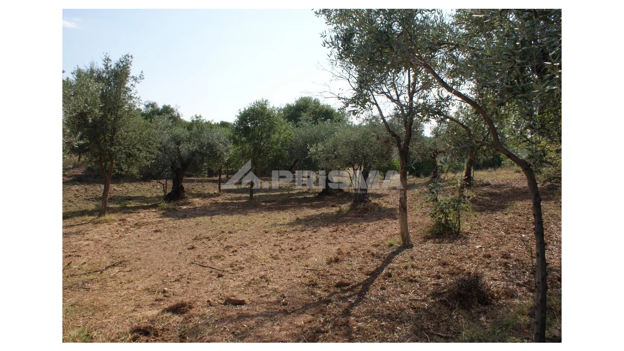 Quinta para Venda em Vale de Prazeres e Mata da Rainha Foto 22