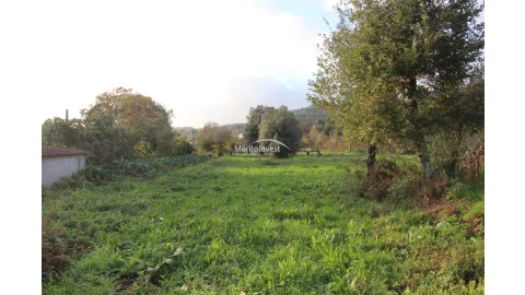 Terreno para Venda em Ribeira do Neiva