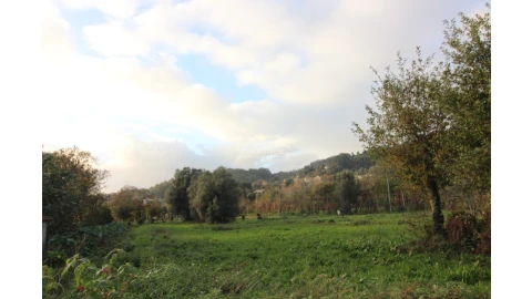Terreno para Venda em Ribeira do Neiva