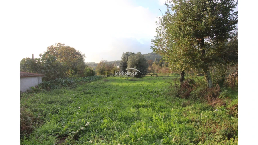 Terreno para Venda em Ribeira do Neiva Foto 4