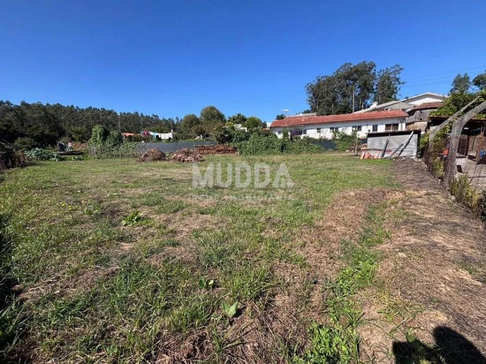 Terreno para Venda em Vila de Cucujães Foto 3