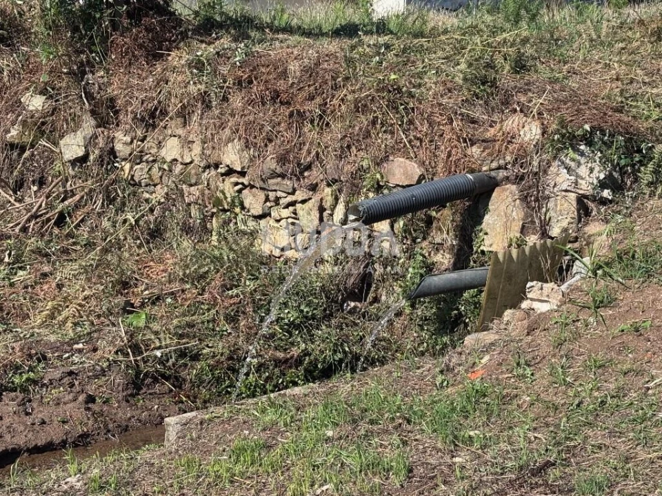 Terreno para Venda em Vila de Cucujães Foto 4
