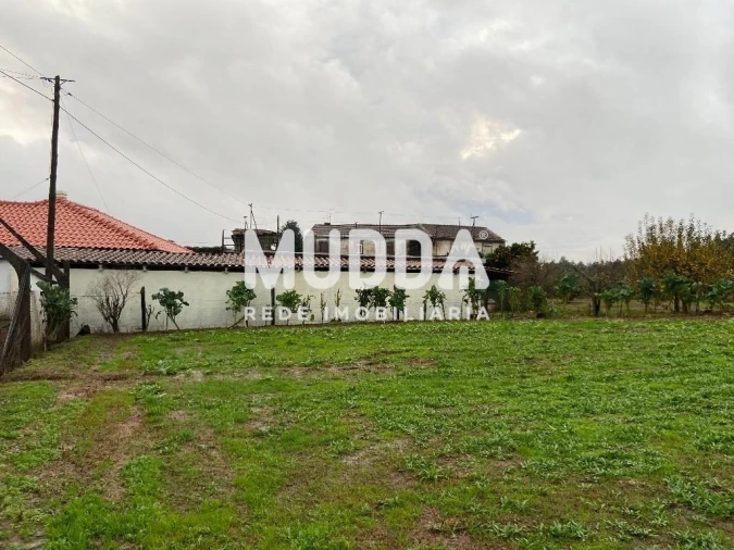 Terreno para Venda em Vila de Cucujães